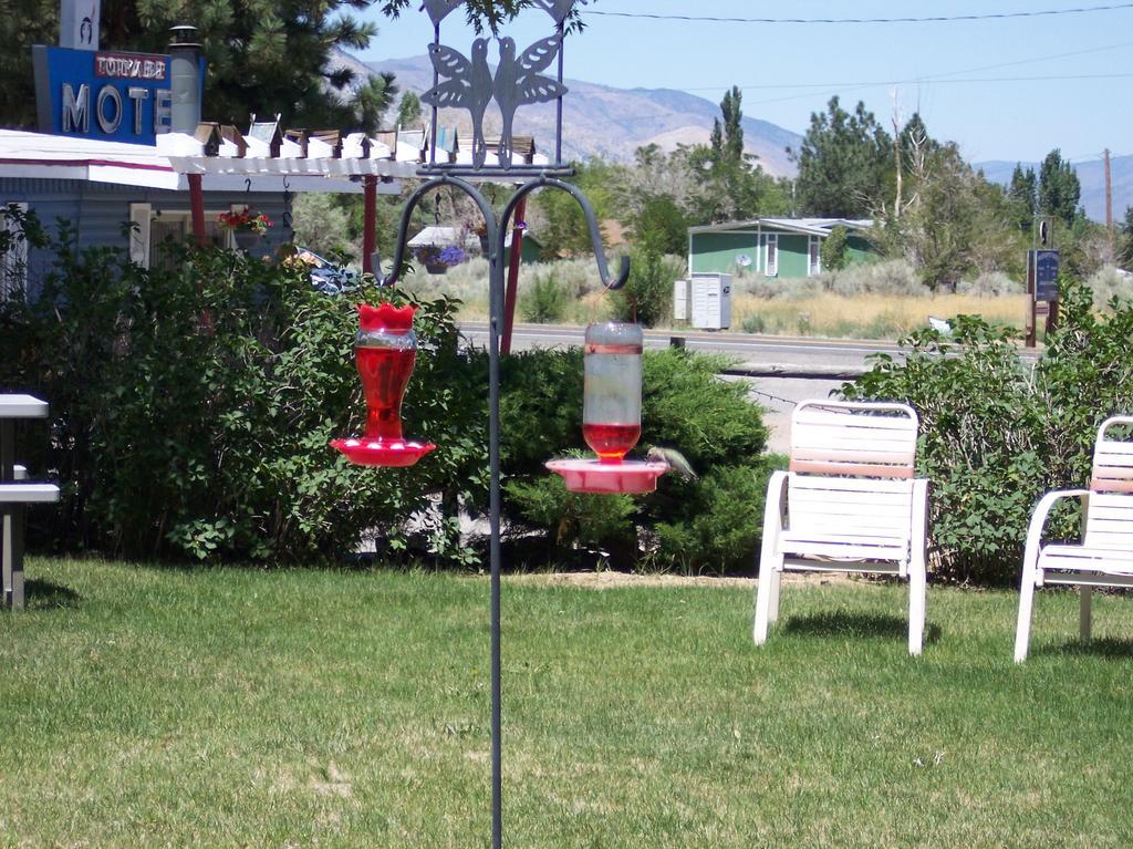 Walker Toiyabe Motel المظهر الخارجي الصورة